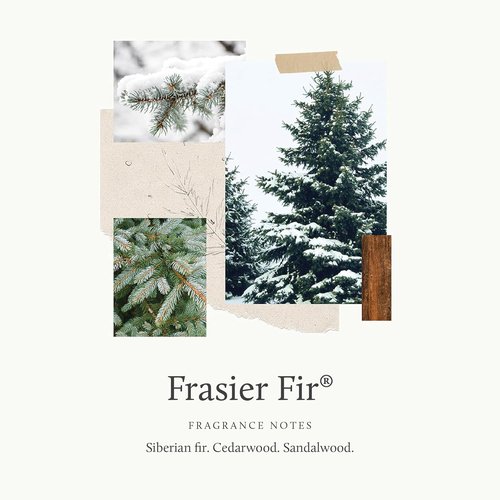 Thymes Hand Wash - Frasier Fir Scent - 15 Fl Oz | Nourishing & Refreshing Cleanser