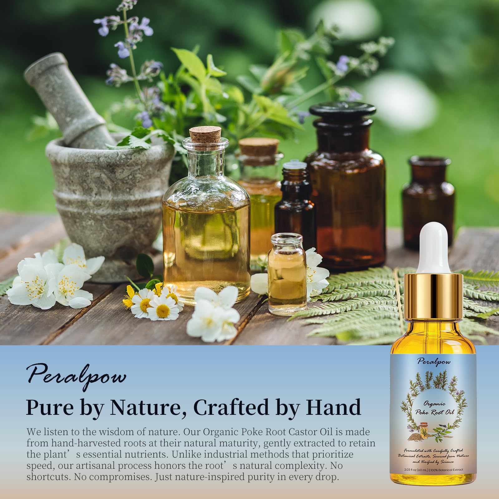 Organic Poke Root Infused Castor Oil | Deep Tissue & Lymphatic System Support | Natural Aid for Cysts, Fibroids, Muscle & Joint Comfort | 2.03 fl oz