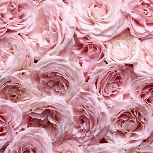 Escada Especially Eau De Parfum - Women's Floral Perfume with Rose Petals & Pear - Long-Lasting Scent