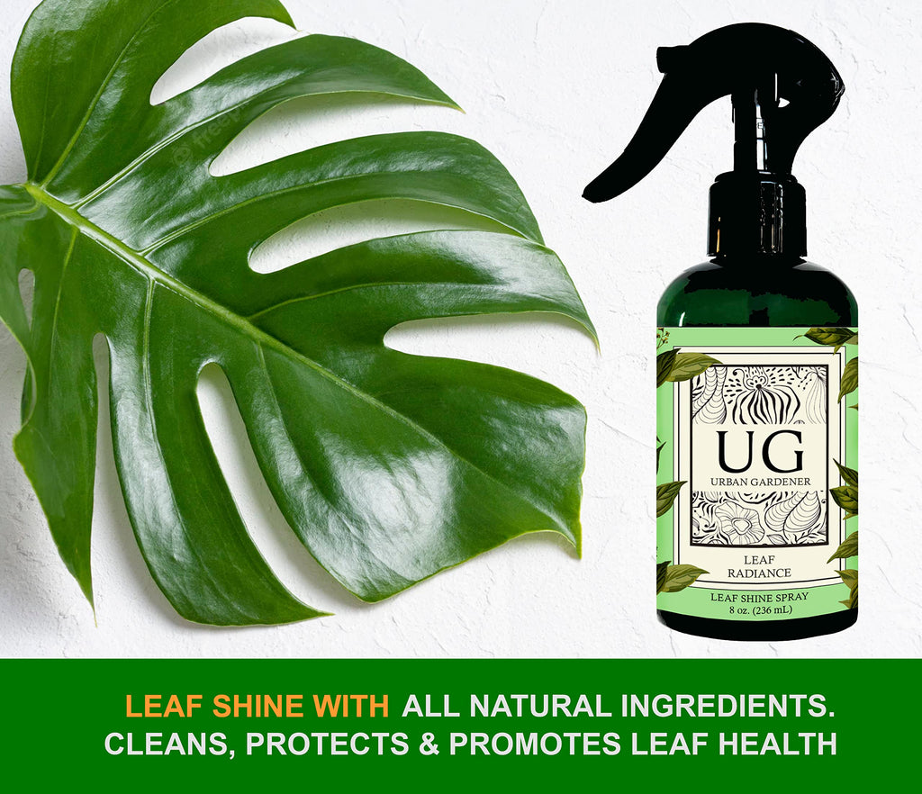 Urban Gardener All Natural Leaf Radiance for Leaf Shine, 8oz