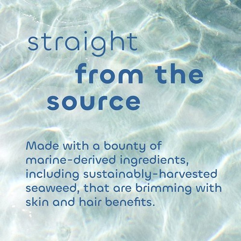 Seaweed Bath Co. Melt-In Water Lotion, Sea Salt Bergamot Scent, 4 Ounce, Sustainably Harvested Seaweed, Sea Grape, Beta-Glucan