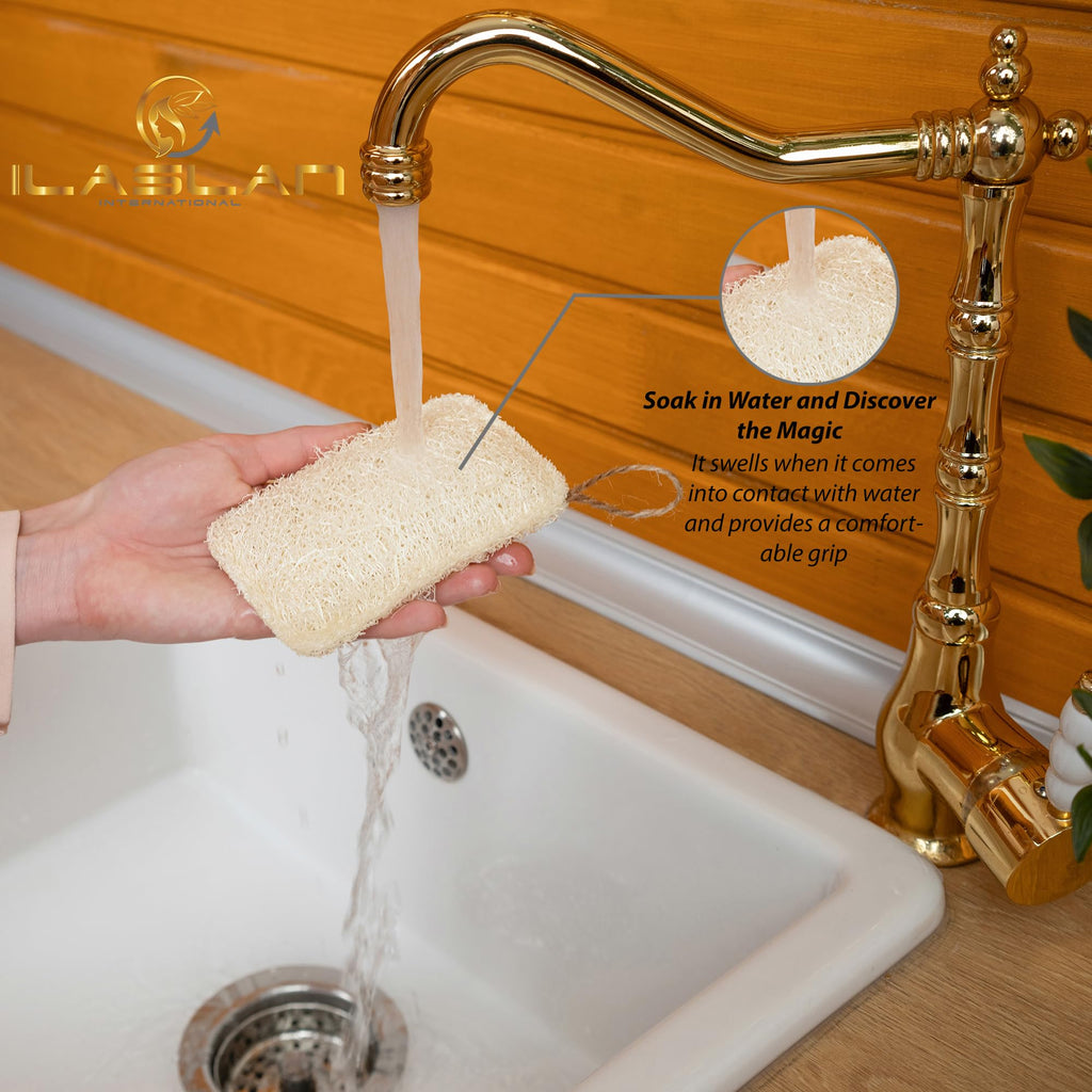 Natural Loofah Dish Sponge Scrubber | Double-Sided | Eco-Friendly, Natural,%100 Organic, Biodegradable and Reusable Dish Loofah Kitchen Sponges | 3 Count (1 Pack) (12X8 CM)