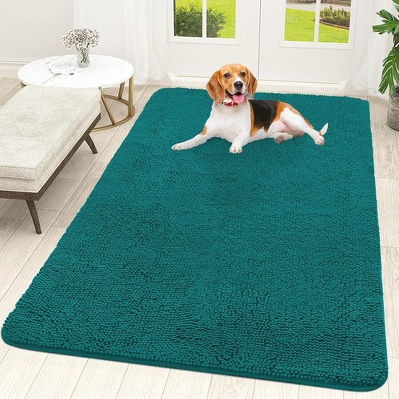 OLANLY Dog Door Mat - Absorbent Non-Slip Mud Mat for Indoor Use | Quick Dry Chenille, 59x35, Lake Blue
