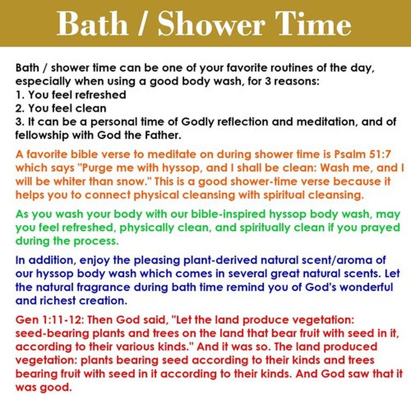 BIBLE N Beautyoils Cleanse Me With Hyssop Natural Hair and Body Wash, Organic Hyssop Infused Shampoo and Body Wash for Nourishing and Refreshing Hair & Body Cleansing (Myrrh and Frankincense)