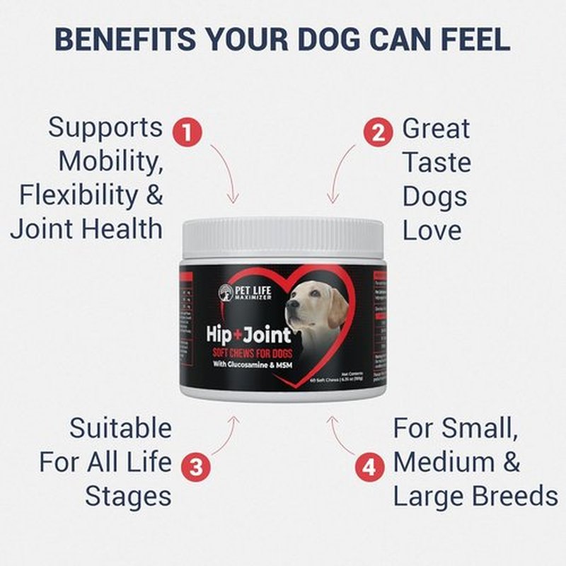 3-in-1 Advanced Dog Hip & Joint Supplement - Tasty Soft Chews with Glucosamine & MSM for All Breeds - Chicken Flavor