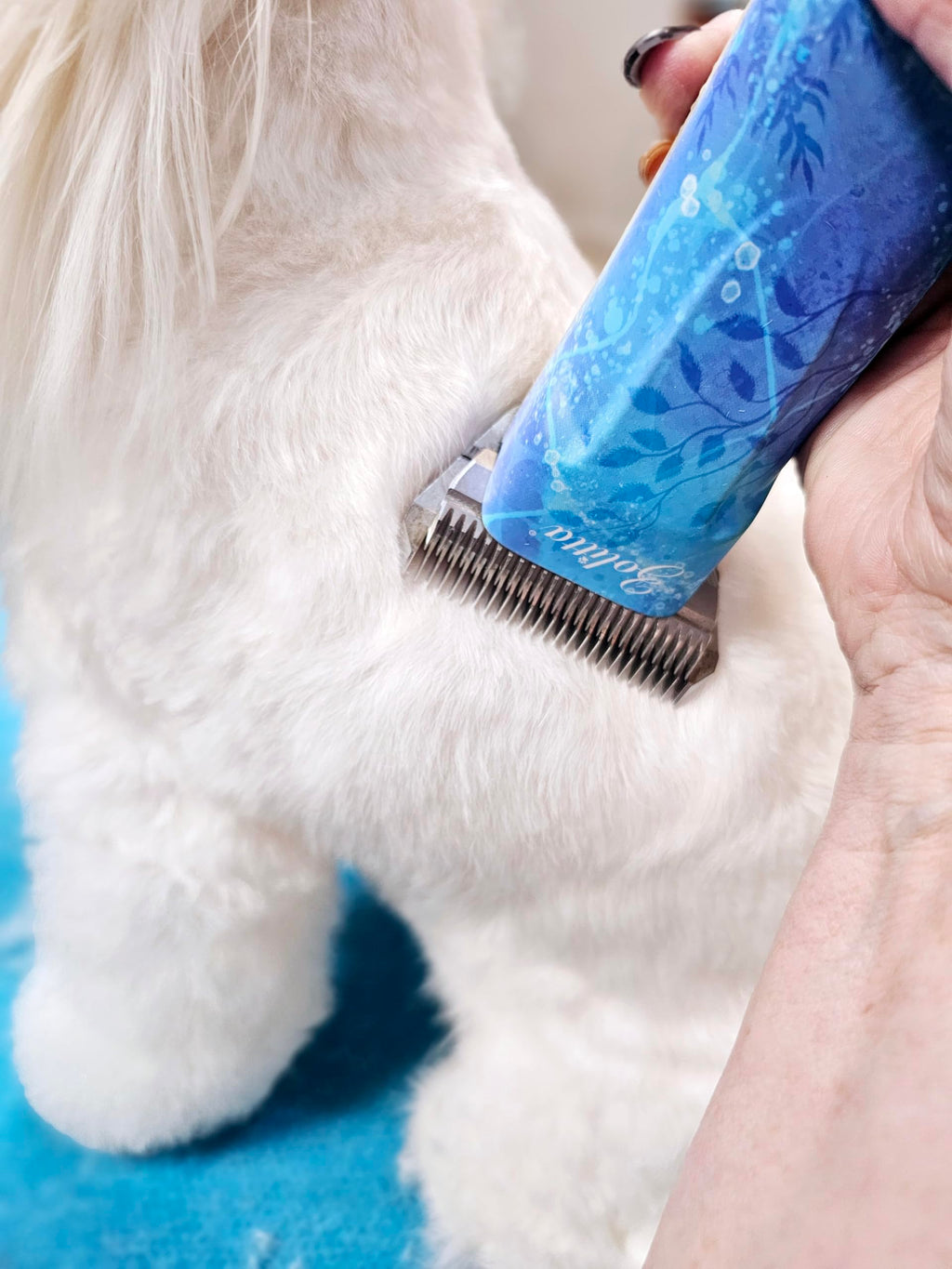 ZOLITTA 5WF Premium Professional Wide Clipper Blade, A5 Type High-Carbon Steel Attachment for Fast Grooming of Dogs, Cats, and Horses
