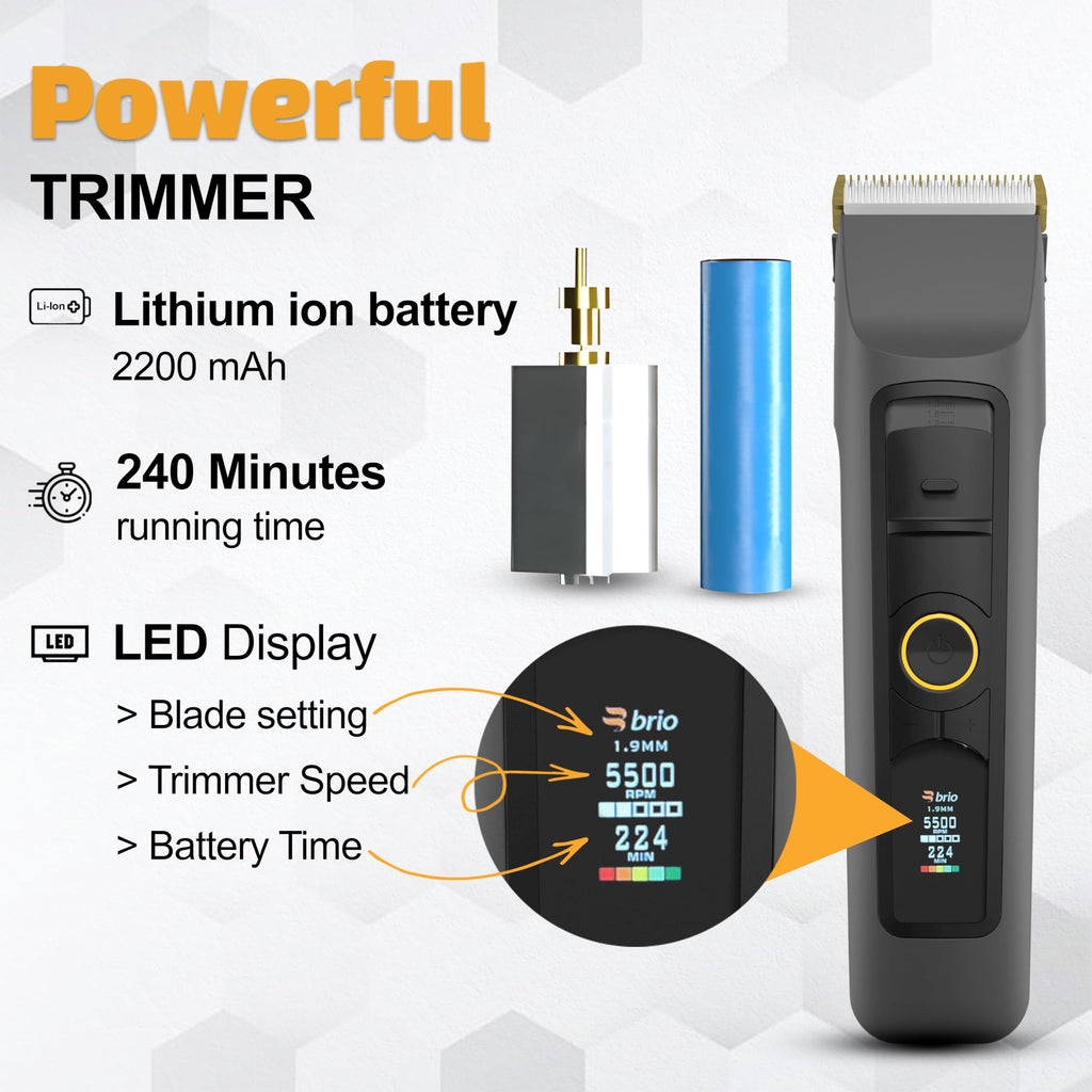 Brio Beardscape V2 Beard Trimmer for Men Professional with Low Friction Ceramic Blade, Cordless Professional Hair Trimmer for Barbers with 4 Hrs of Long Battery Timing, Ideal for Beard & Body (Gray)