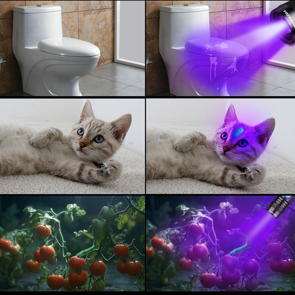 DARKBEAM UV Black Light Flashlight 395nm - Rechargeable USB Woods Lamp, Powerful Mini Ultraviolet LED Blacklight Flashlights - Resin Curing, Detector for Pet/Cat/Dog Urine, Stains, Scorpions