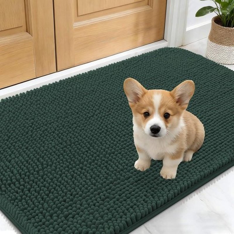 OLANLY Dog Door Mat - Absorbent Non-Slip Mat for Muddy Paws | Quick Dry Chenille, 30x17, Blackish Green