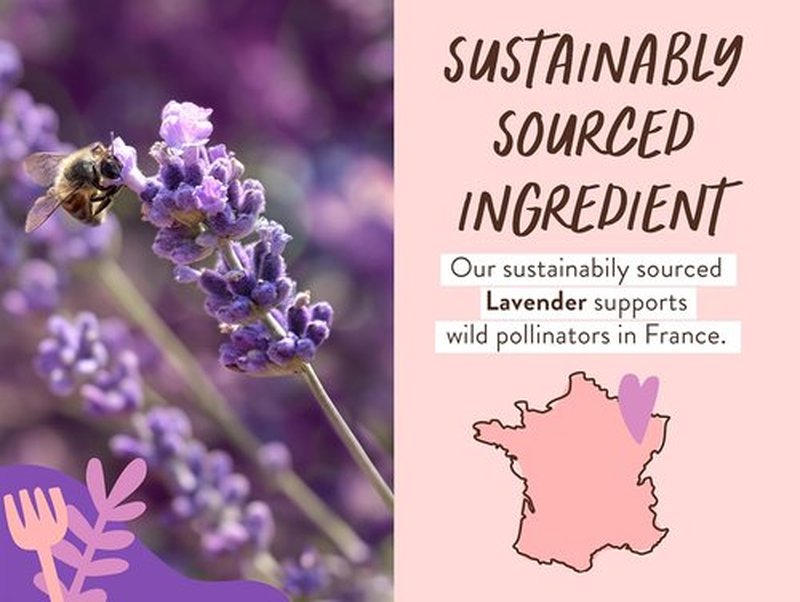 BABO Botanicals Calming Lavender 2-in-1 Bubble Bath & Wash - Relaxing Chamomile & Lavender - EWG Verified, Vegan