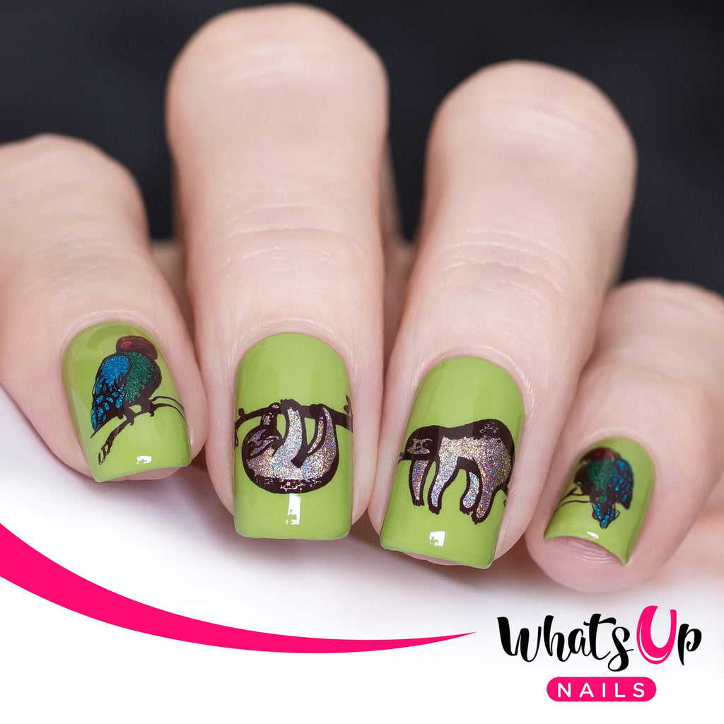 Whats Up Nails - Animal Stamping Plates 2 pack (A015, B025) for Nail Art Design