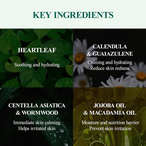 DERMALOGY by NEOGENLAB Real Heartleaf Soothing Cream 80g