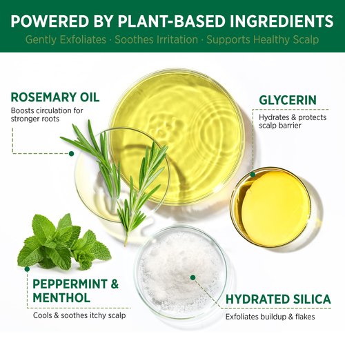 RoyceDerm Rosemary Mint Scalp Scrub Clarifying Scalp Exfoliator Refreshing Clean Scalp, Cooling Micro-Exfoliation with Botanical Extracts, For All Scalp Types (Rosemary Mint Scalp Scrub)