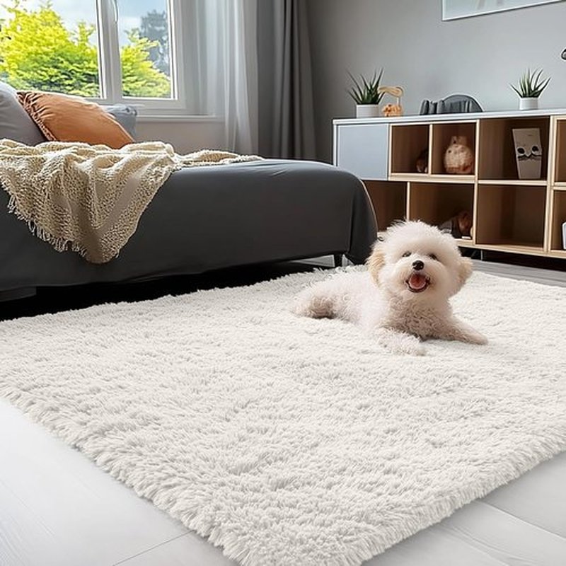 OLANLY Area Rug - Soft Fluffy Shaggy Design for Living Room & Bedroom | Machine Washable Ivory Carpet