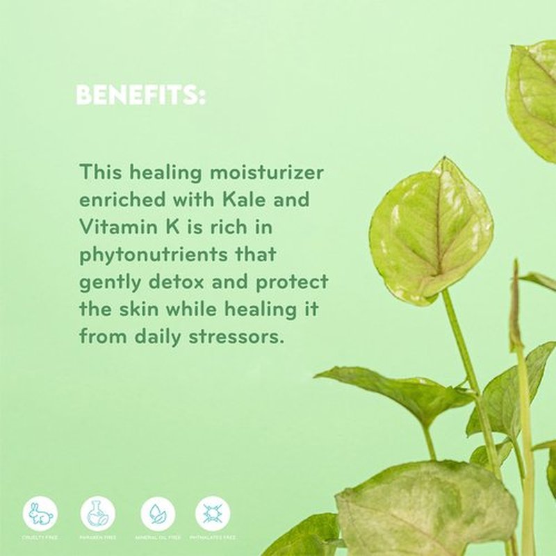 pūrlisse Kale + Vitamin K Hydrating Face Moisturizer - Face Moisturizer for Detoxifying & Pore Tightening - Packed with Antioxidants for Smooth, Radiant & Youthful Skin (1.7 Fl oz)