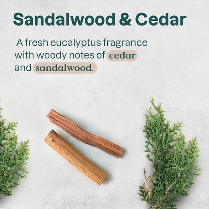 ATTITUDE Aluminum-Free Deodorant - Natural Ingredients, EWG Verified, Sandalwood & Cedar Scent | 2.64 Oz