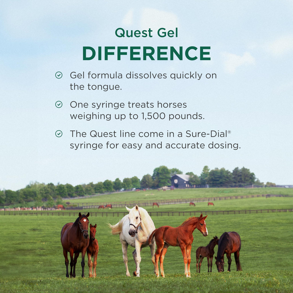 Quest Gel Moxidectin Horse Dewormer, Early Grazing Season recommended for Horses and Ponies 6 months and older, 0.5oz Sure-Dial Syringe