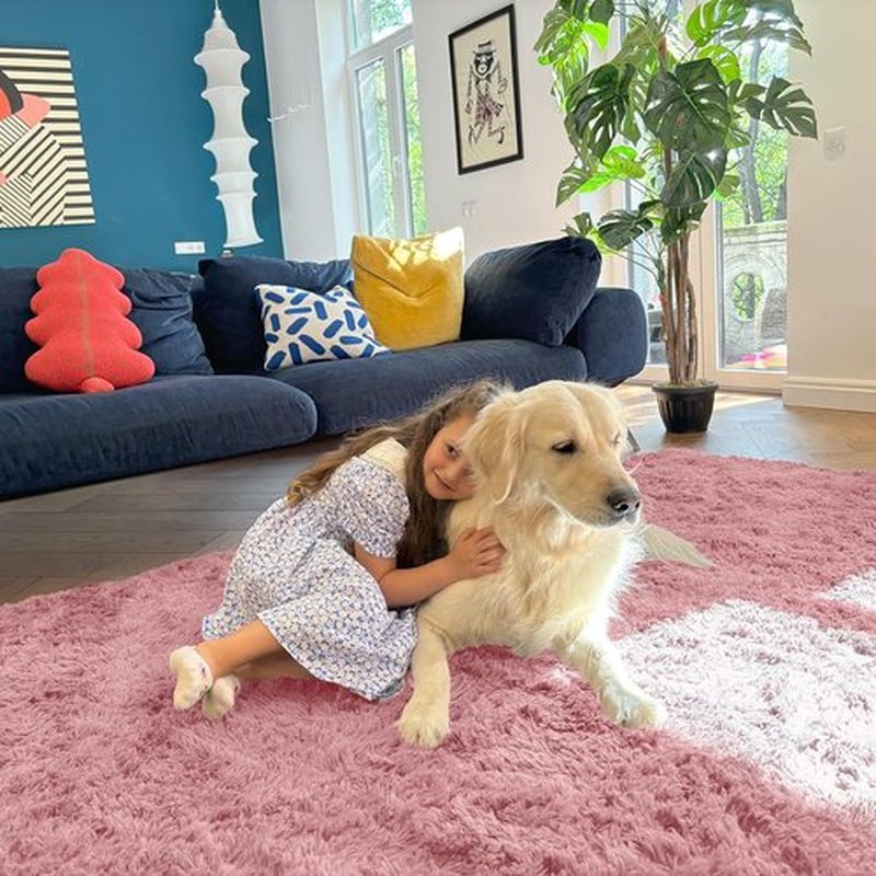 OLANLY Soft Fluffy 3x5 Machine Washable Bedside Rug - Ideal Indoor Carpet for Kids & Nursery, Pale Pink