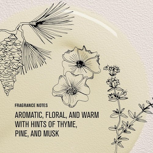 Davines OI Oil - Weightless Hair Oil for Dry, Coarse & Curly Hair | Frizz Control & Shine
