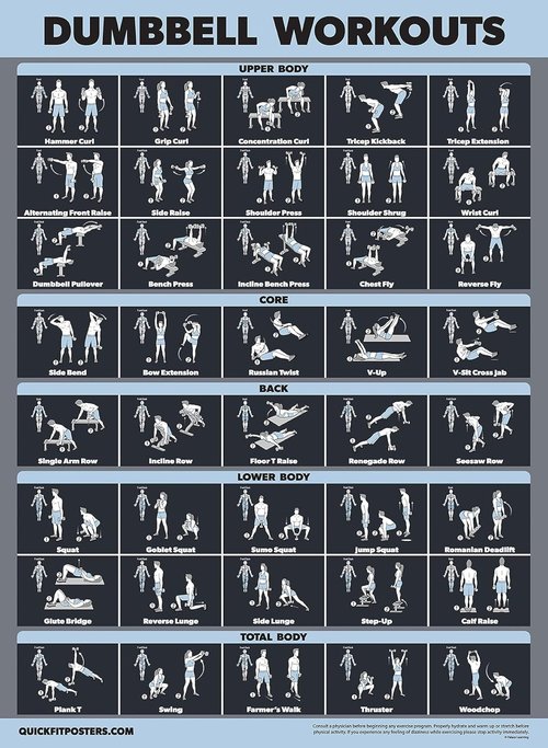 Palace Learning Dumbbell Workout Exercise Poster - Laminated, Dark Design | 18" x 24"