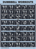 Palace Learning Dumbbell Workout Exercise Poster - Laminated, Dark Design | 18" x 24"