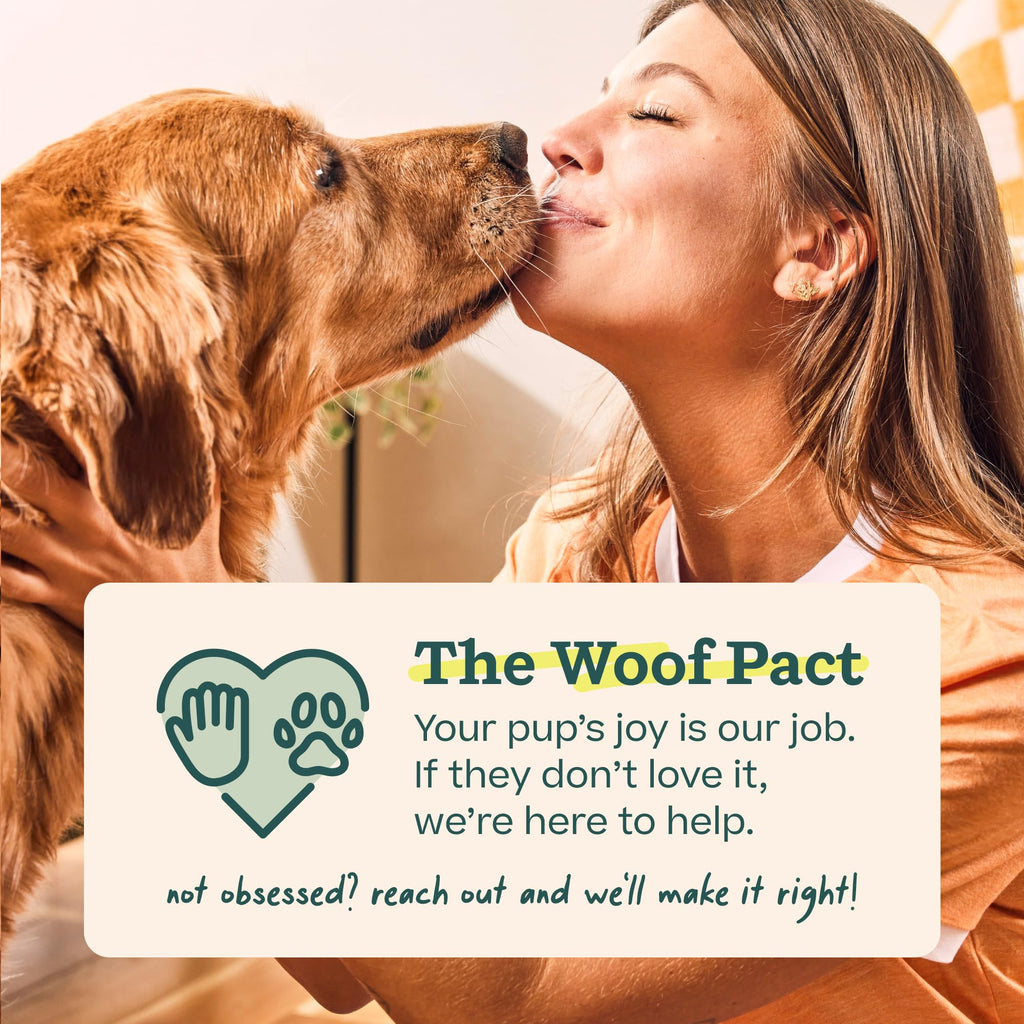 WOOF Pupsicle Refill Pops for All-in-1 Health - Long-Lasting Multivitamin Refills for The Pupsicle Toy - with Vitamins A, B, D, Iron, Magnesium, and Fiber - XL Pops - 5 Count