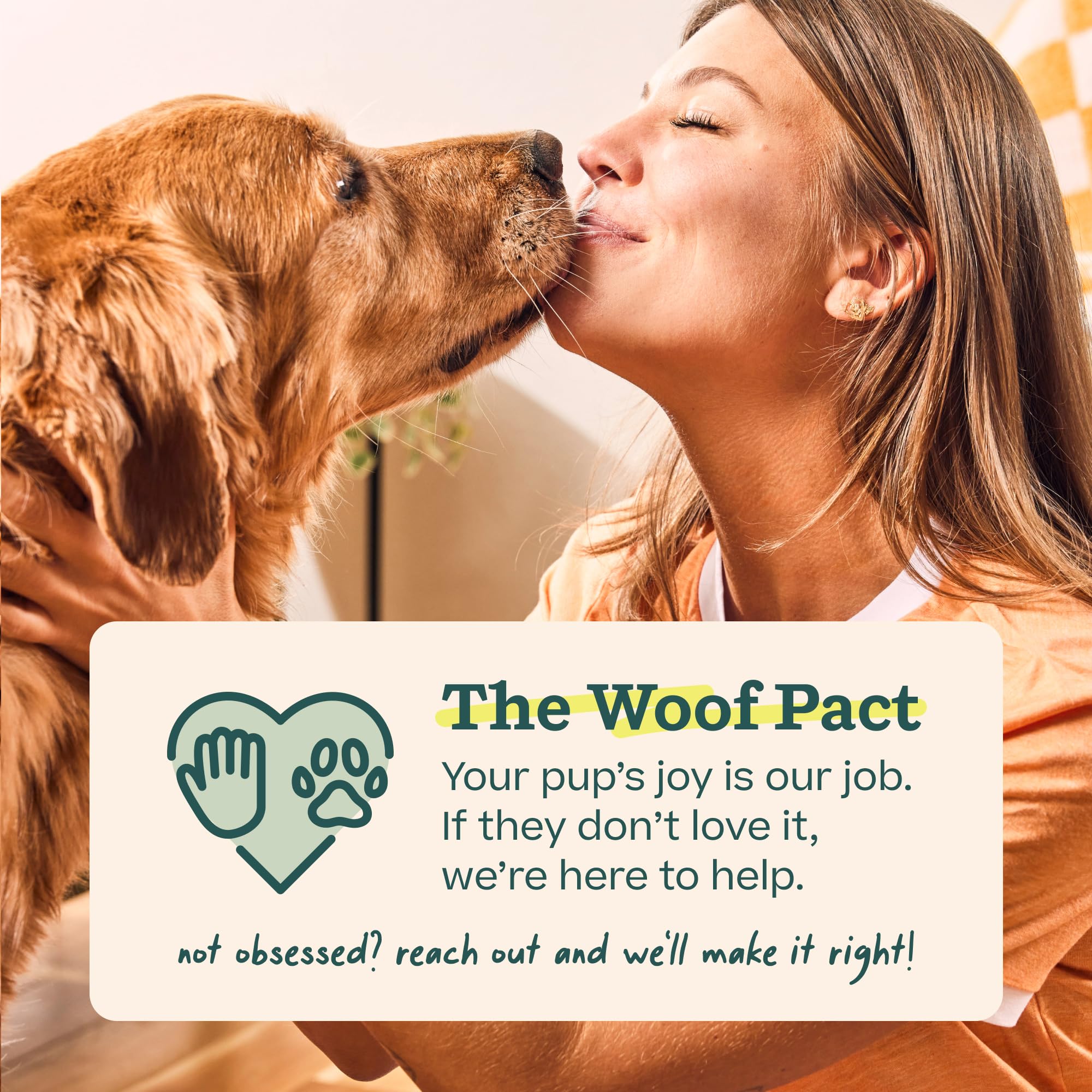 WOOF Pupsicle Refill Pops for All-in-1 Health - Long-Lasting Multivitamin Refills for The Pupsicle Toy - with Vitamins A, B, D, Iron, Magnesium, and Fiber - XL Pops - 5 Count