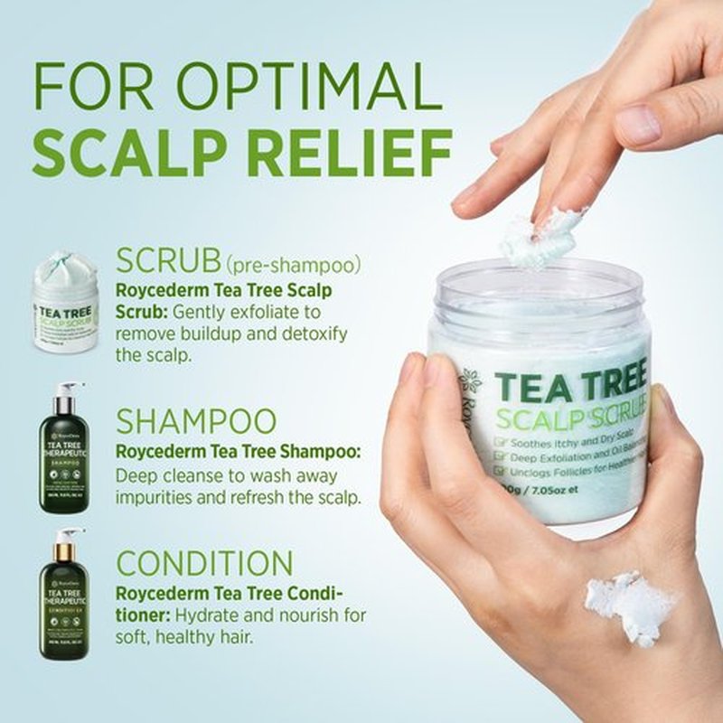 Roycederm Tea Tree Antifungal Shampoo: Folliculitis Shampoo for Dry Scalp, Dandruff, and Itchy Scalp - Medicated Clarifying shampoo with Tea Tree Oil, Paraben & Sulfate Free