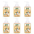 South Of France SoF Hydrating Foaming Hand Wash - With Organic Agave Nectar & Coconut Oil- Vegan & Non GMO- Free From Phthalates, Sulfates & Parabens- Sweet Almond - 8 oz Bottle 6 Pack