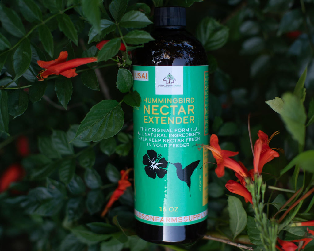 Hummingbird Nectar Extender – Extends Nectar Life and Attracts Hummingbirds Naturally All Organic Keeps Fresh Longer - Enjoy Clear Without Frequent Changes – 16 oz Bottle