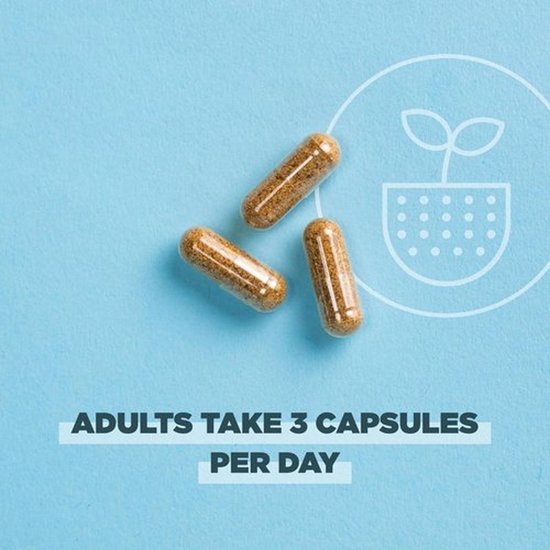 Ancient Nutrition Women's Hormones Capsules - Supports Hormone Health & Digestion | 90 Count, Organic & Gluten-Free