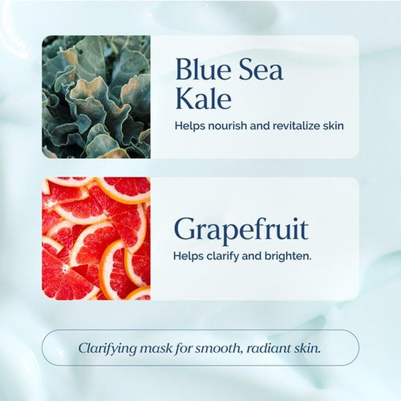 Deep Pore Exfoliating Face Mask with Blue Sea Kale Grapefruit – for Blackheads, Dead Skin Removal, Clarifying & Hydrating – Vegan & Clean Skincare – 8.5 oz
