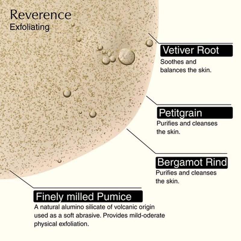 Aesop Resurrection & Reverence Aromatique Hand Wash Set – Nourishing Hand Wash & Gentle Exfoliating Hand Soap Duo | Botanical Cleansers Made with Hydrating Essential Oil Blend | 16.9 oz Each (2 Pack)