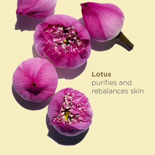 Clarins Lotus Face Oil Treatment - Hydrates & Balances Skin | Tightens Pores & Minimizes Fine Lines | 100% Natural Plant Extracts