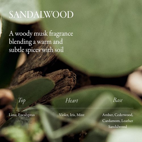 LONGTAKE Sandalwood Intensive Perfume Hair Oil 1.35 Fl Oz, 40MLㅣHeat ProtectionㅣAnti-frizzㅣSplit end repairㅣ For all types