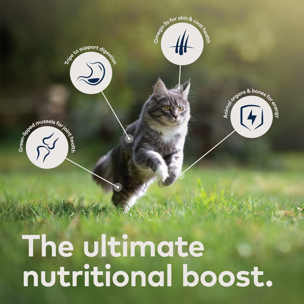 ZIWI Peak Wet Cat Food – All Natural, High Protein, Grain Free, Limited Ingredient, with Superfoods (Venison, Case of 24, 3oz Cans)
