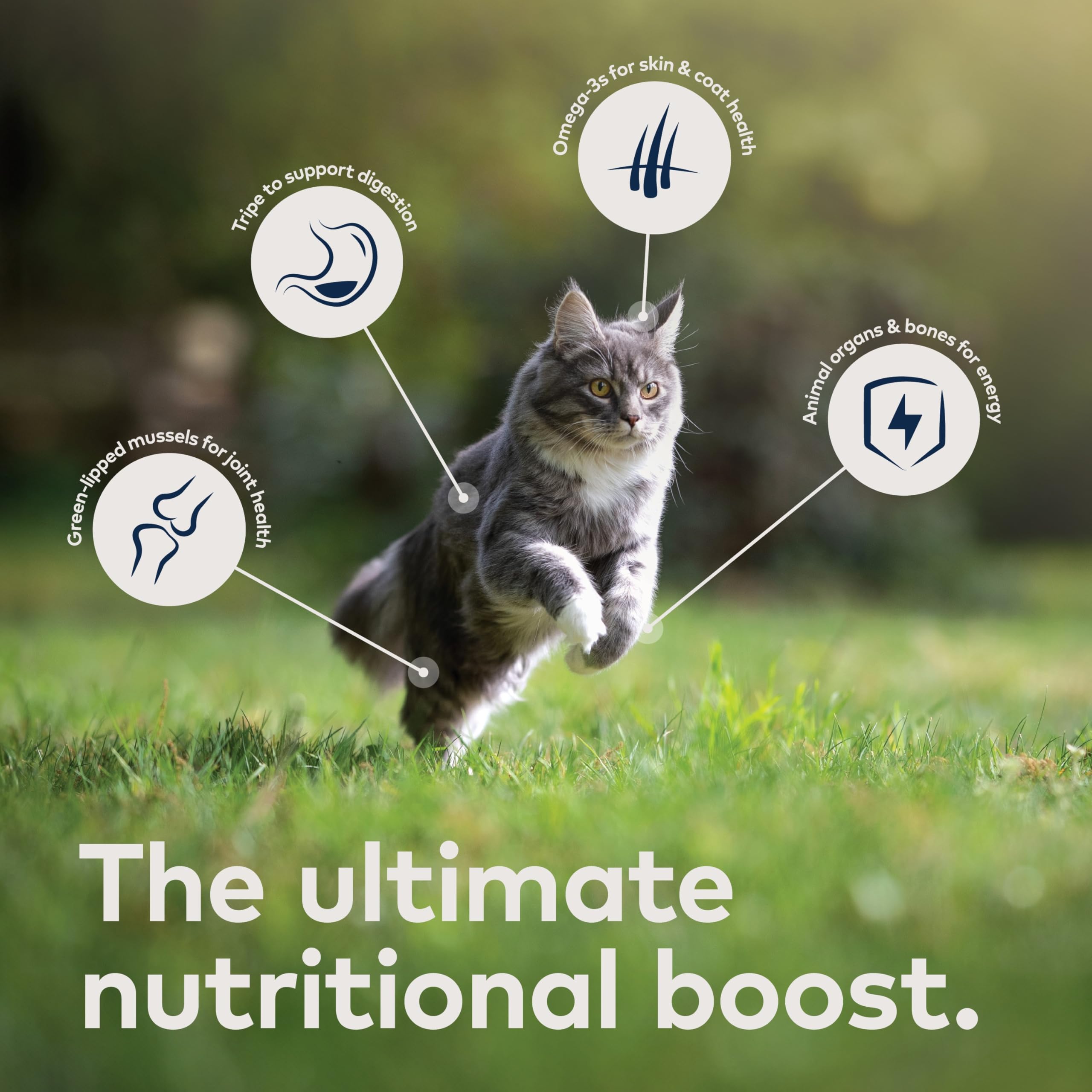 ZIWI Peak Wet Cat Food – All Natural, High Protein, Grain Free, Limited Ingredient, with Superfoods (Venison, Case of 24, 3oz Cans)