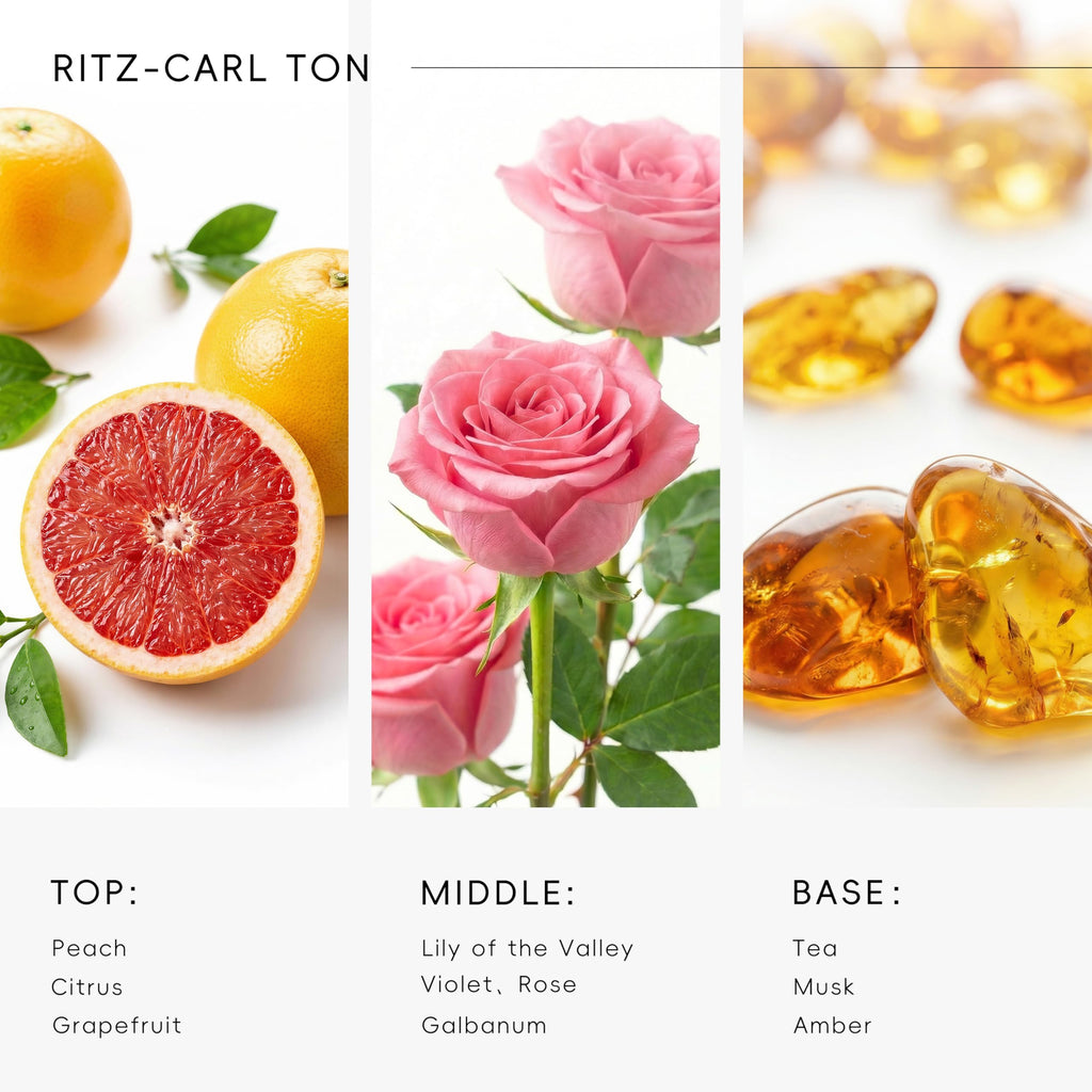 Hotel Diffuser Oil Inspired by Ritz-Carlton Scent - Premium Fragrance Oil No. SA61119323 for Ultrasonic and Waterless Diffuser - 120 mL, 4 fl oz