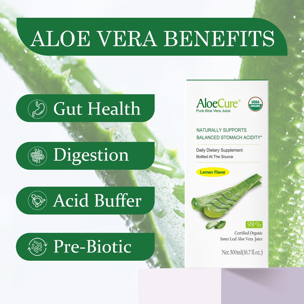 AloeCure USDA Organic Aloe Vera Juice Lemon Flavor - Made Within 12 Hours of Harvest - Natural Digestive Supplement for Balanced Stomach Acidity - Support Digestive and Immune Health, 2 Btls x 16.7oz