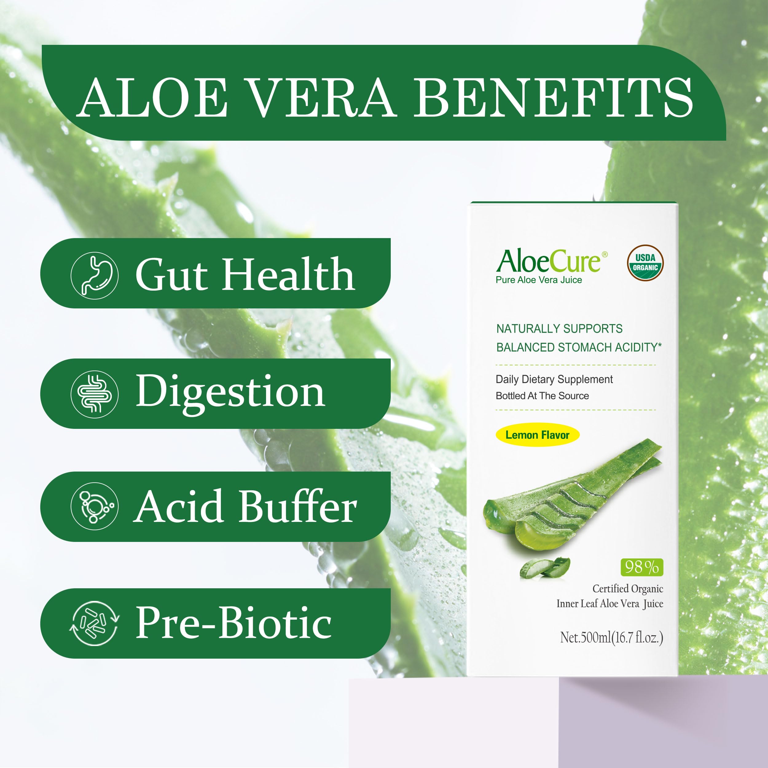 AloeCure USDA Organic Aloe Vera Juice Lemon Flavor - Made Within 12 Hours of Harvest - Natural Digestive Supplement for Balanced Stomach Acidity - Support Digestive and Immune Health, 2 Btls x 16.7oz