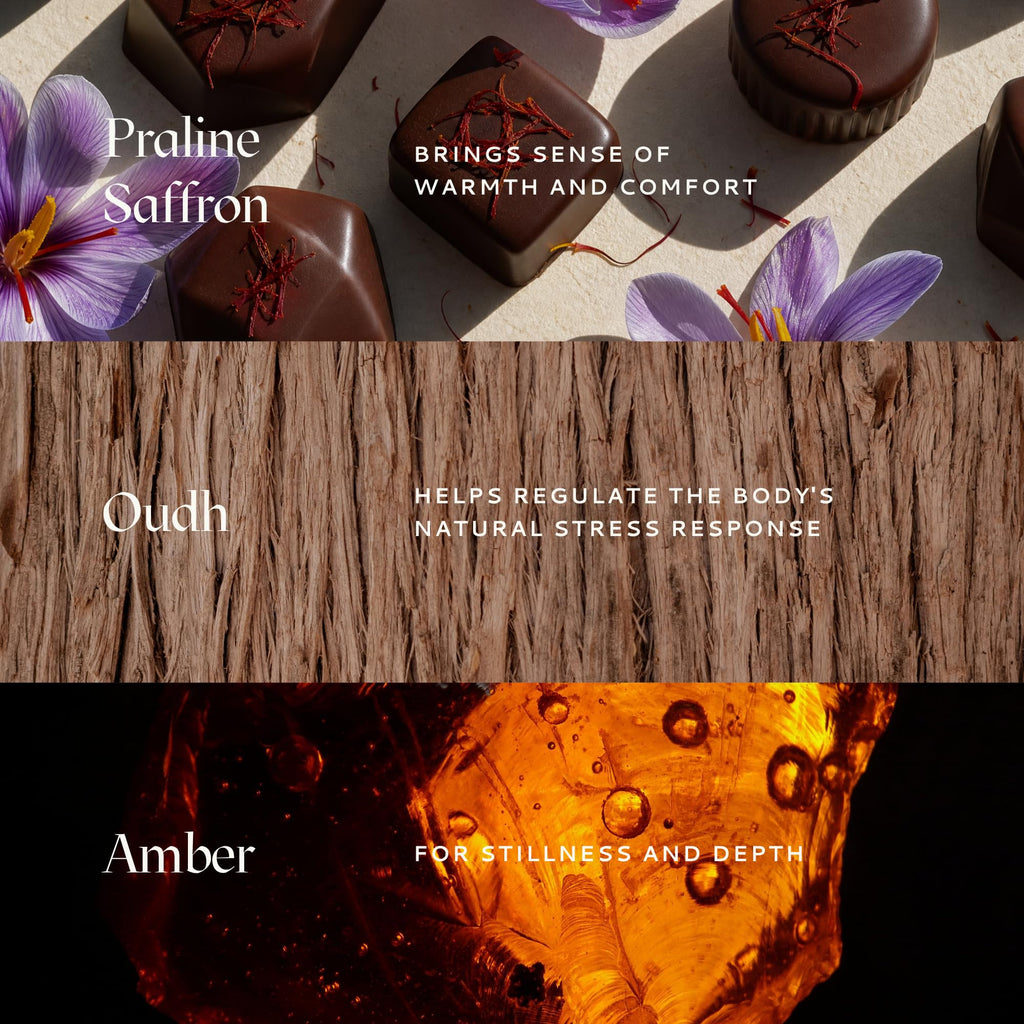 Caftari Oud Perfume Oil Rollerball | Scent of Nirvana | Oud, Musk, Amber & Saffron | Roll On Oil Perfume | Non Toxic Perfume | Alcohol-Free | 100% Jojoba Base | Unisex | Travel Ready 10 ml