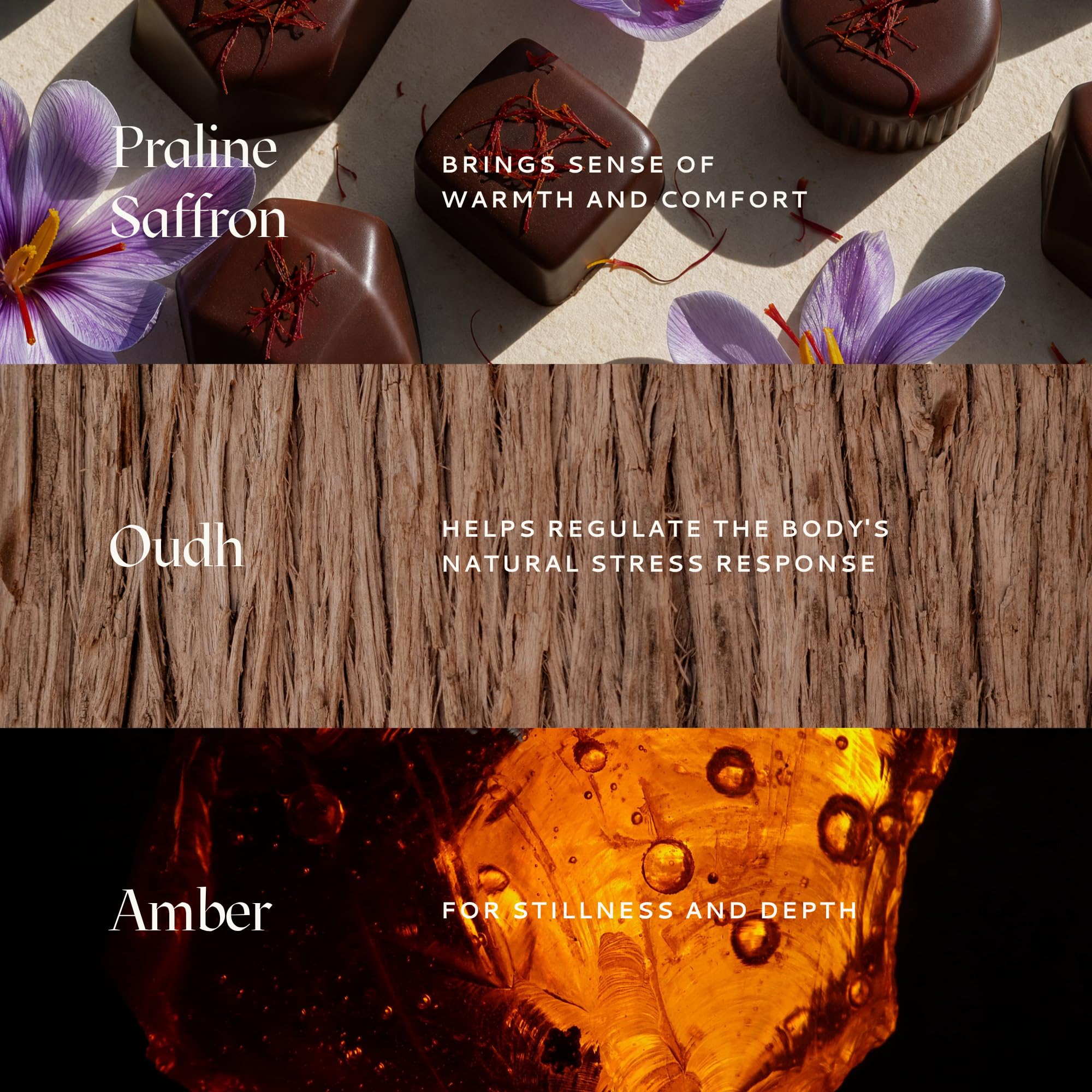 Caftari Oud Perfume Oil Rollerball | Scent of Nirvana | Oud, Musk, Amber & Saffron | Roll On Oil Perfume | Non Toxic Perfume | Alcohol-Free | 100% Jojoba Base | Unisex | Travel Ready 10 ml