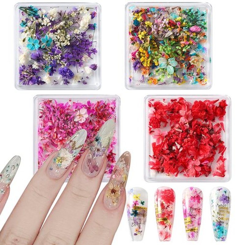 JERCLITY 4 Boxes Real Dried Flowers for Nail Art - Mini Red Pink Purple Gypsophila Stickers Decals Natural Dry Accessories for Women