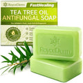 Roycederm Antifungal Bar Soap - Tea tree Oil Soap - Athlete’s Foot Treatment for Jock Itch & Ringworm - Medicated Antifungal Soap with Clotrimazole 1% - Tea Tree Oil Scent, 1 Pack