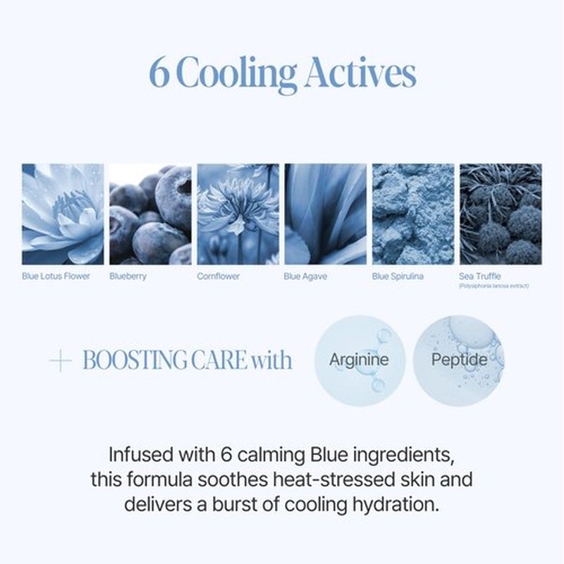 Espoir Be Velvet Sebum Cut Cooling CushionㅣGel-to-Powder Formula with No Clump, Excess Sebum & Oil Control, Sweat-proof, No White Cast and Fresh Finish with Instant Cooling Down, Korean Makeup