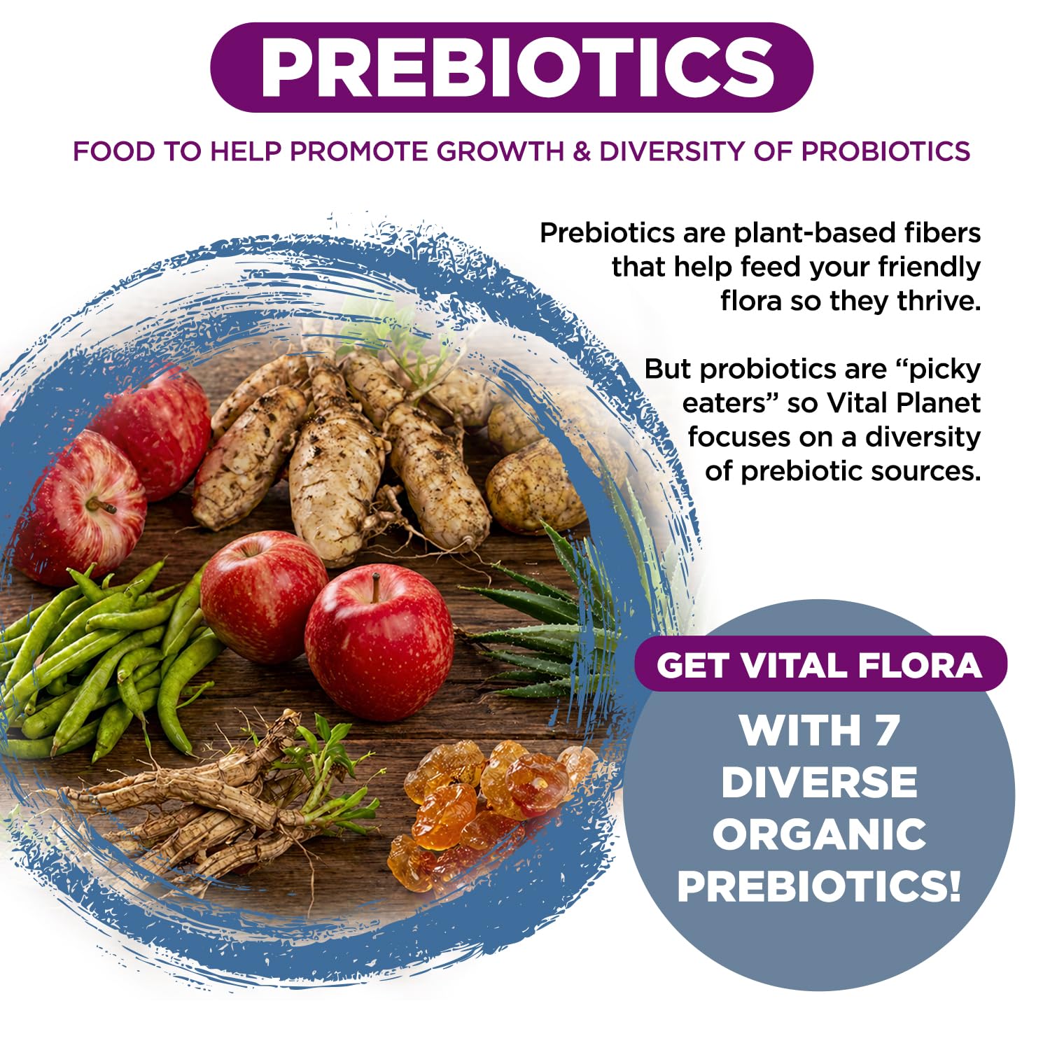 Vital Planet - Vital Flora Women Over 55 Daily Probiotic, 60 Billion CFU, Diverse Strains, Organic Prebiotics, Vaginal and Immune Support, Digestive Health Probiotics for Women 60 Capsules