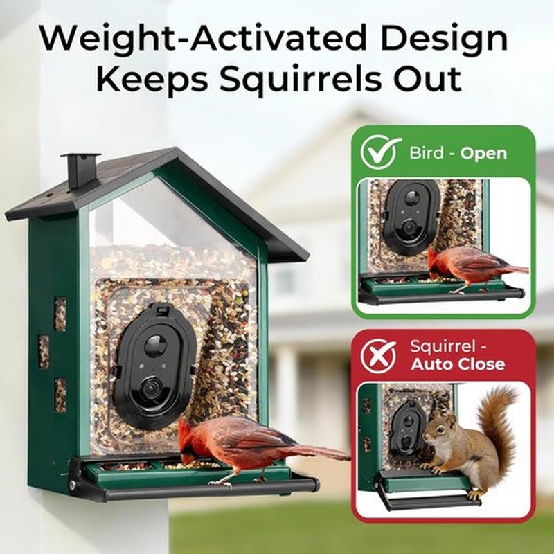 TT Nature Smart Bird Feeder - Solar-Powered Camera with AI Bird Identification & Squirrel-Proof Design | 3.2L Capacity, Green