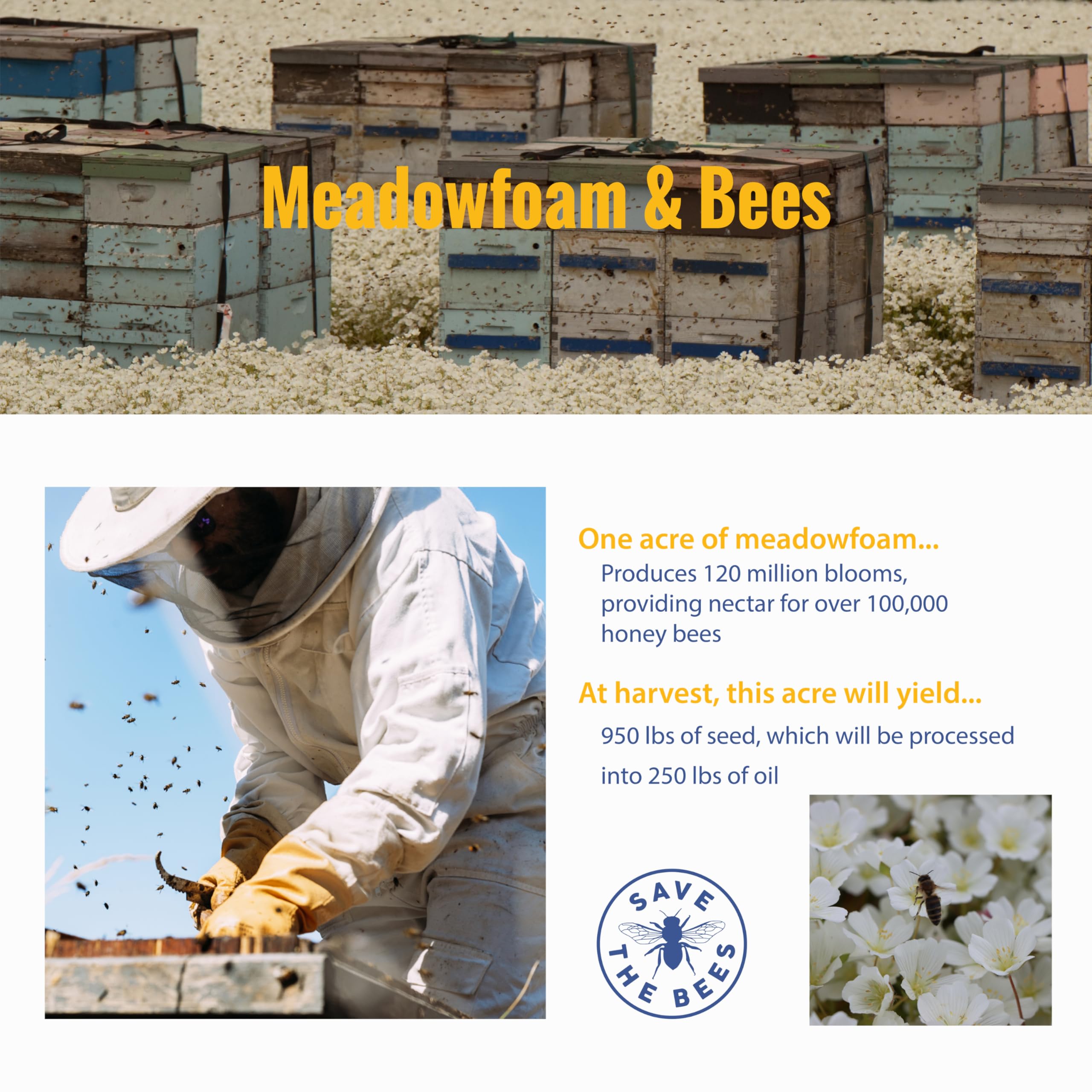 Meadowfoam Cold Pressed Oil - 100% Natural Virgin, Antioxidant-Rich Moisturizer for Face, Body, Hair. Deep Moisture Lock, Silky Non-Greasy Finish. Direct from Sustainable Oregon Co-op Farms