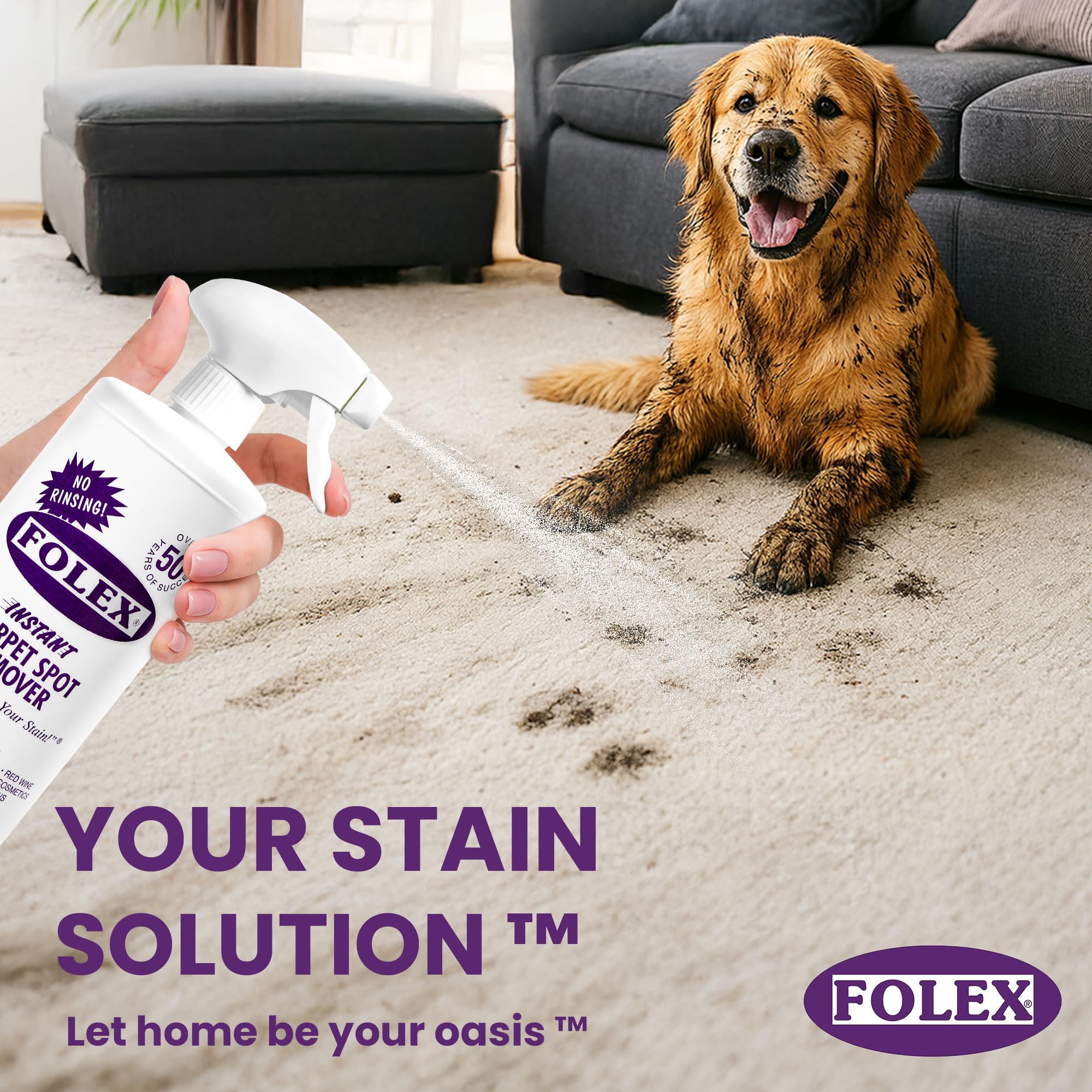 FOLEX Instant Carpet Spot Remover 32 oz – Powerful Stain Remover for Carpets, Upholstery & Rugs – Eliminates Pet Stains, Grease, Red Wine, Food, Makeup & More – With Reusable Cleaning Cloth - 1 Pack