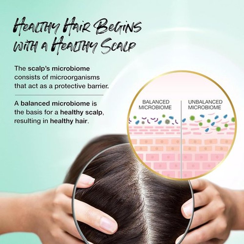 Biotera Color Care Shampoo - Extend & Maintain Color-Treated Hair | Microbiome Friendly & Vegan